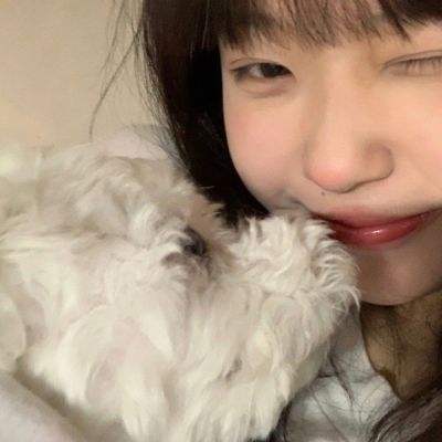 美人如画将无双内购破解版下载
